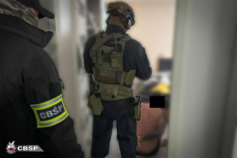 Przed nimi drżeli zamożni. Bezwzględny gang rozbity, 14 osób zatrzymanych