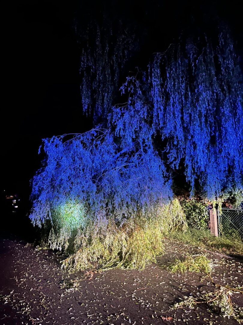 Sądecczyzna burza