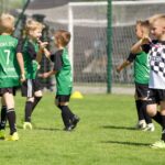 Turniej Termalica Bruk - Bet Cup w Niecieczy 2024