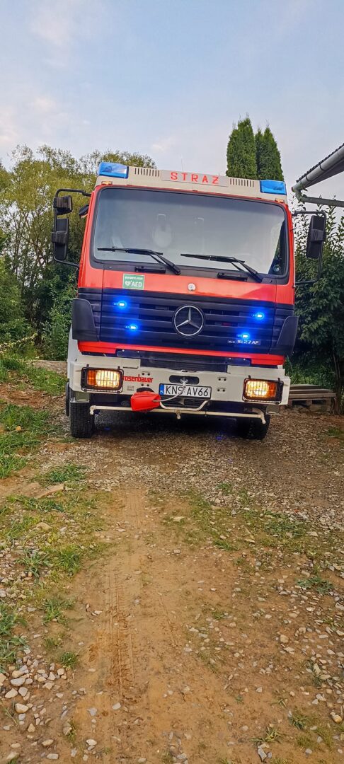 owady błonkoskrzydłe straż pożarna