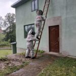 owady błonkoskrzydłe straż pożarna