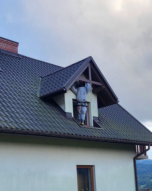 owady błonkoskrzydłe straż pożarna