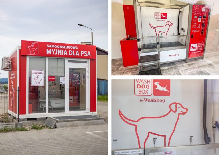W niej nie umyjesz samochodu, ale psa już tak! [ZDJĘCIA]