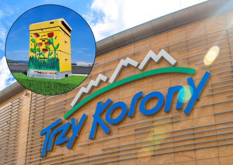 Ule ponownie pojawiły się na dachu galerii Trzy Korony