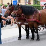 korowód dożynkowy Korzenna