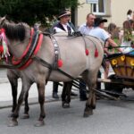korowód dożynkowy Korzenna