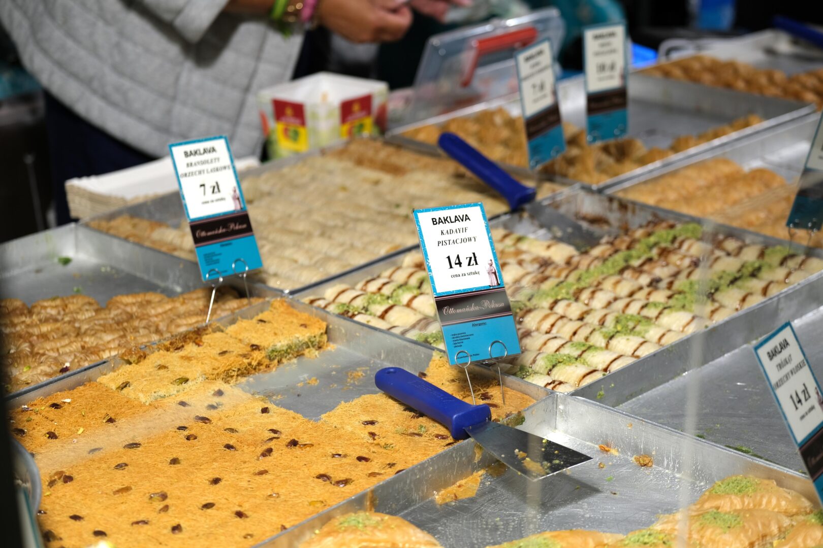 Pannonica