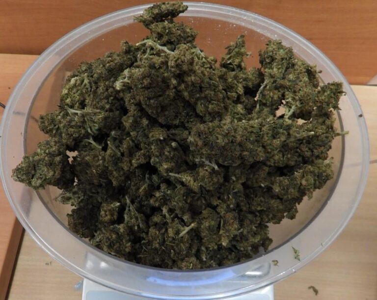 Sądecka policja zabezpieczyła ponad 3 kilogramy narkotyków