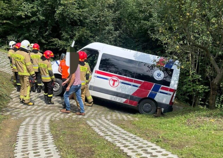 Kamionka Wielka. Karetka transportowa wypadła z drogi