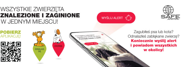 Safe-Animal pomoże, gdy zaginie Twój czworonóg