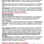Festiwal Biegowy