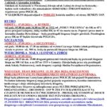Festiwal Biegowy