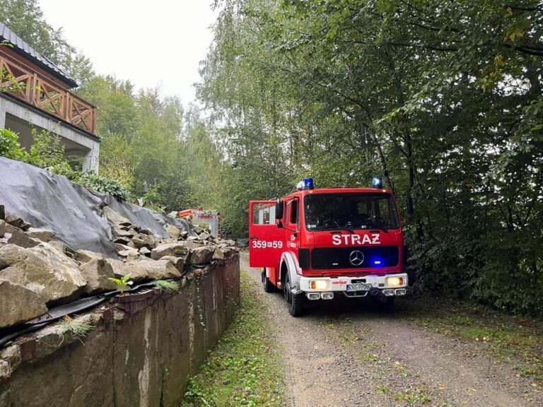 Brzyna. Strażacy walczyli z pożarem sauny