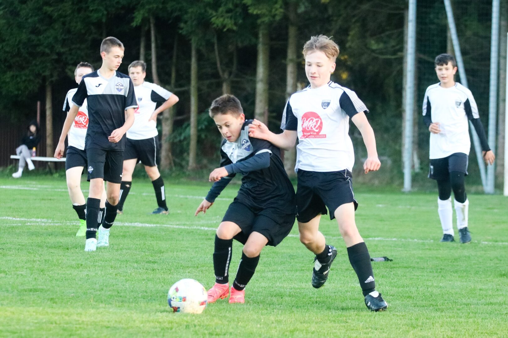 stadion Korzenna
