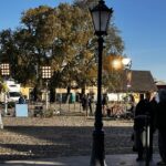Stary Sącz, O psie, który jeździł koleją 2