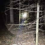 poszukiwania Korzenna