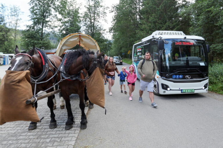 Tatrzański Park Narodowy ogłosił przetarg na elektryczne busy do Morskiego Oka