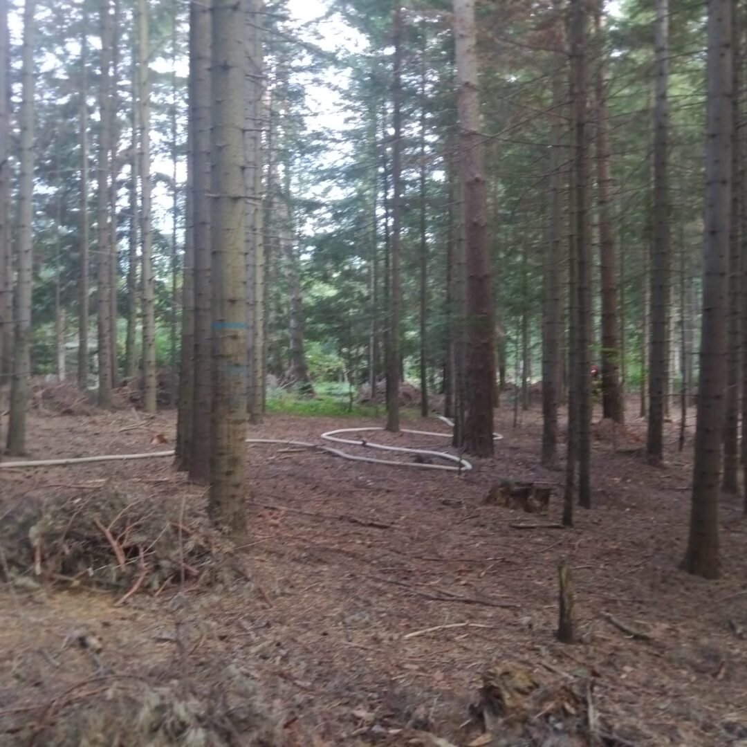 Berest pożar