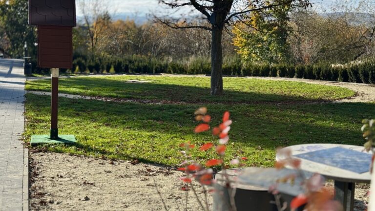 Uwaga! Zaginął kot, który ma wiele znaków szczególnych