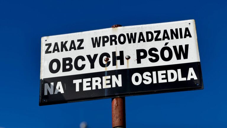 O co tutaj chodzi? Psie potrzeby fizjologiczne, a trawnik spółdzielni mieszkaniowej