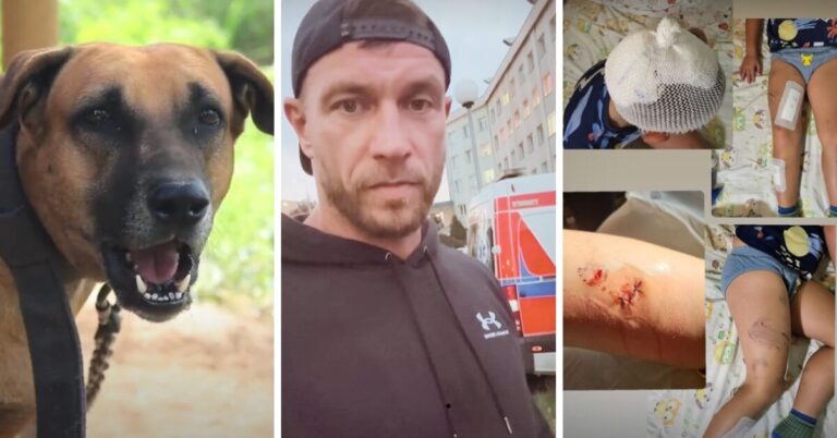 Sześcioletnie dziecko pogryzione przez psa. Poszkodowany chłopiec to siostrzeniec Dariusza Pachuta. Sportowiec apeluje…