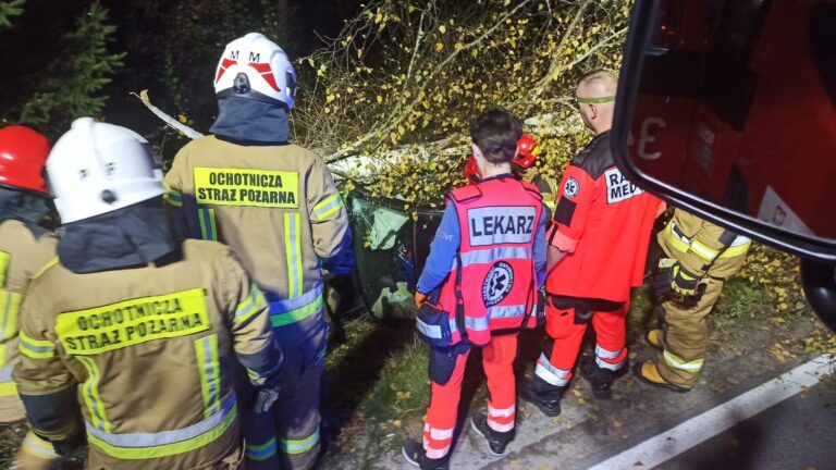 Powroźnik. Uderzył w drzewo. Kierowcę zabrano do szpitala