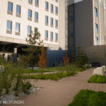 Student's House WSB-NLU