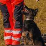 psy Grupa Krynicka GOPR