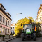 Gorlice choinka