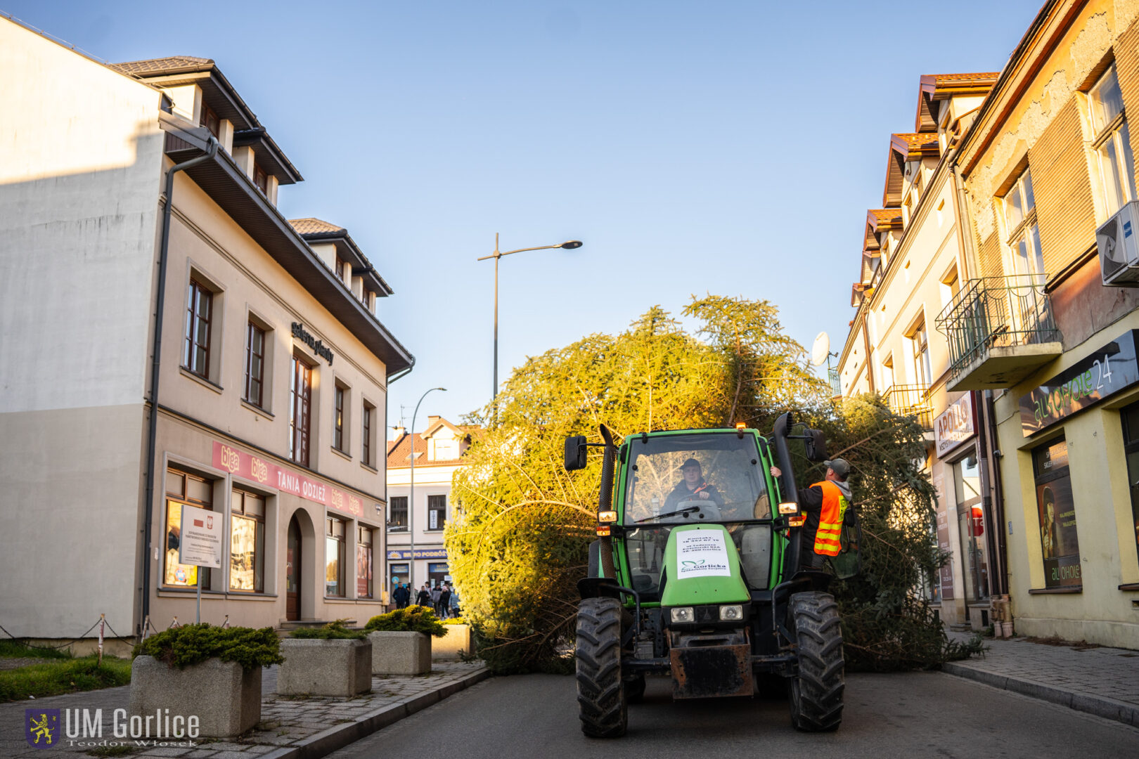 Gorlice choinka