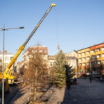 Gorlice choinka