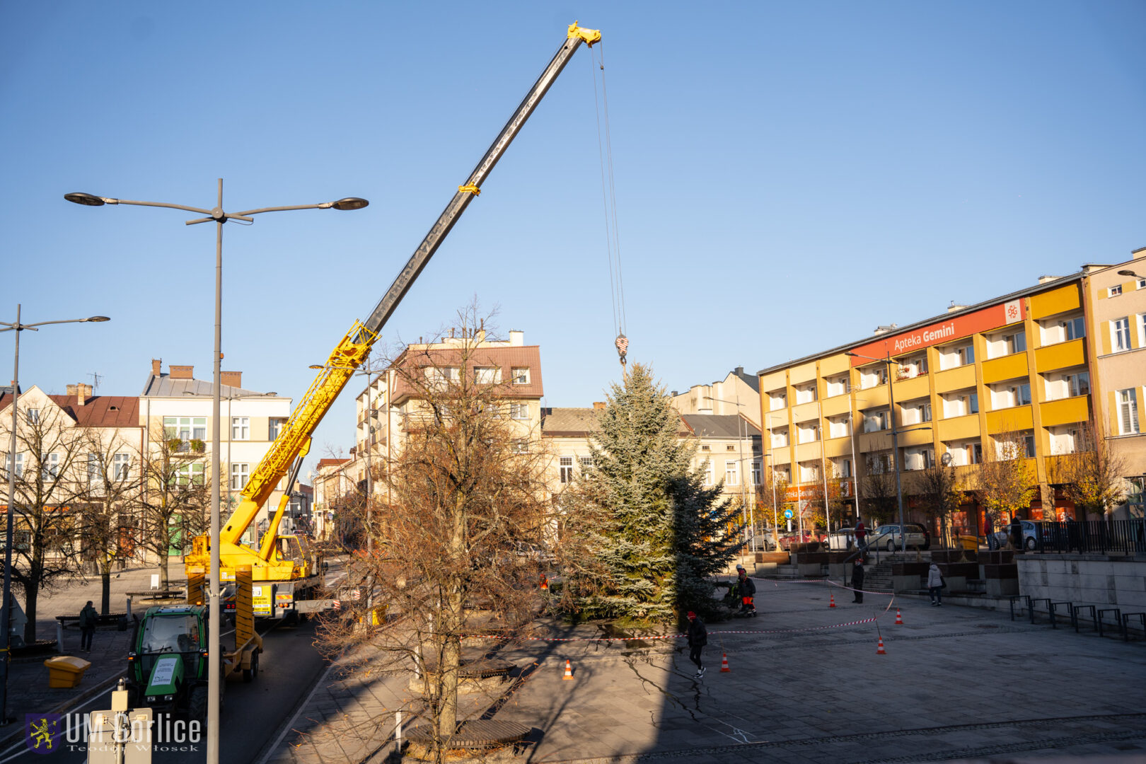 Gorlice choinka