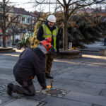 Gorlice choinka
