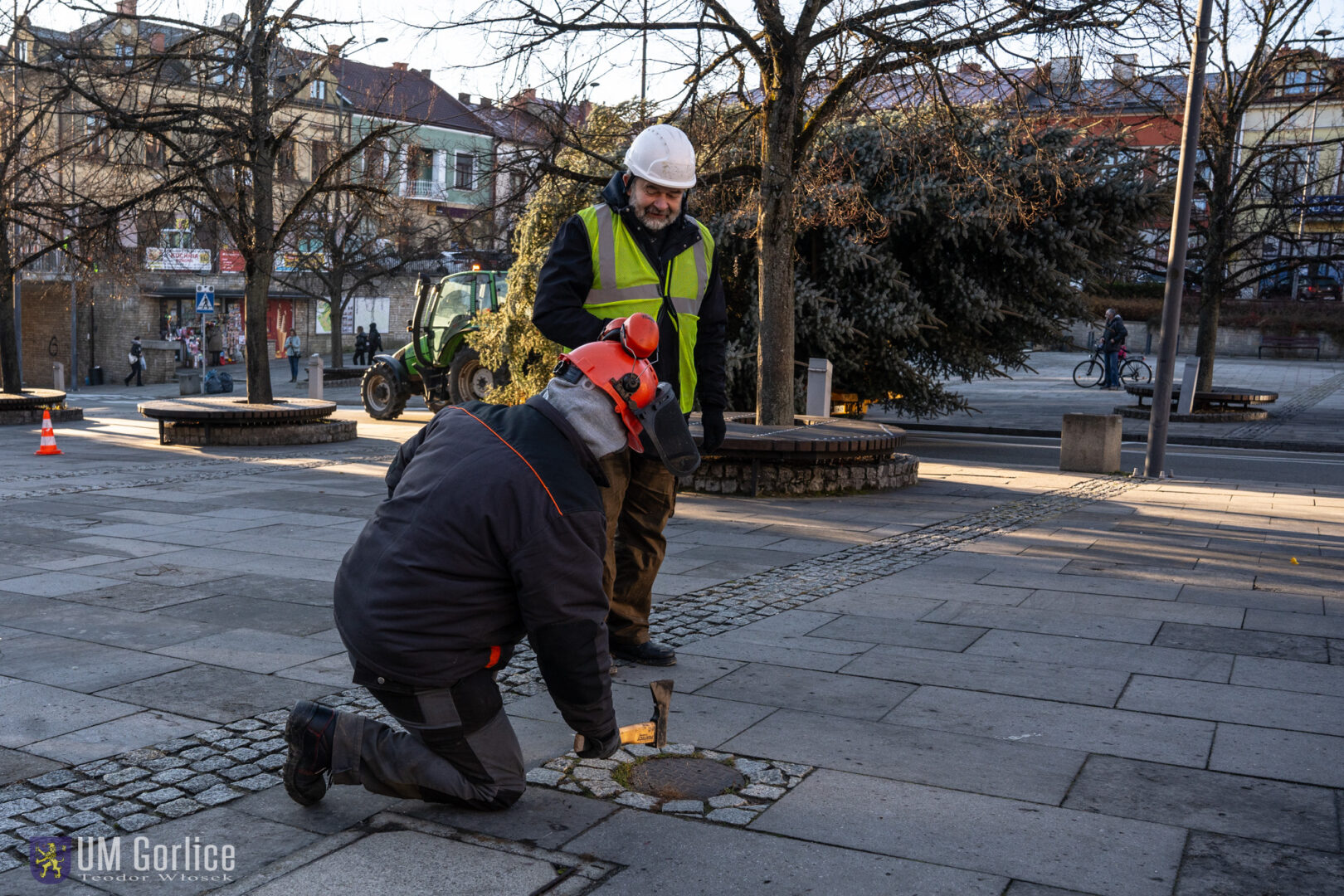 Gorlice choinka