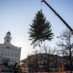 Gorlice choinka