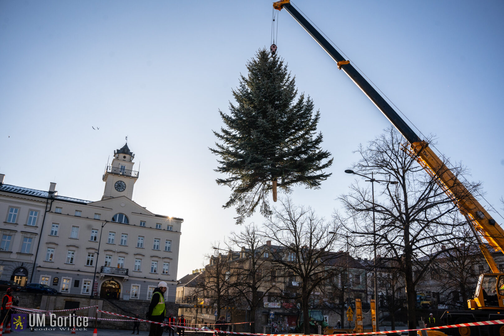 Gorlice choinka