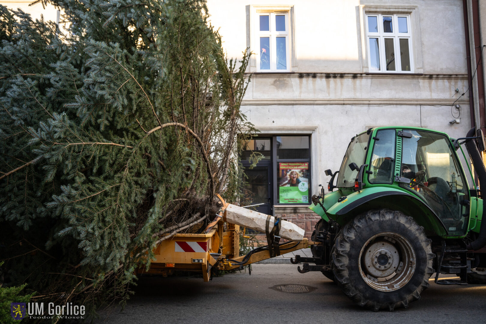 Gorlice choinka
