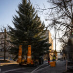 Gorlice choinka