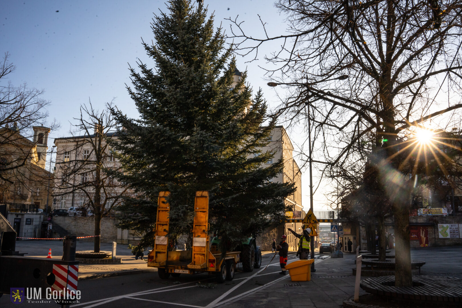 Gorlice choinka