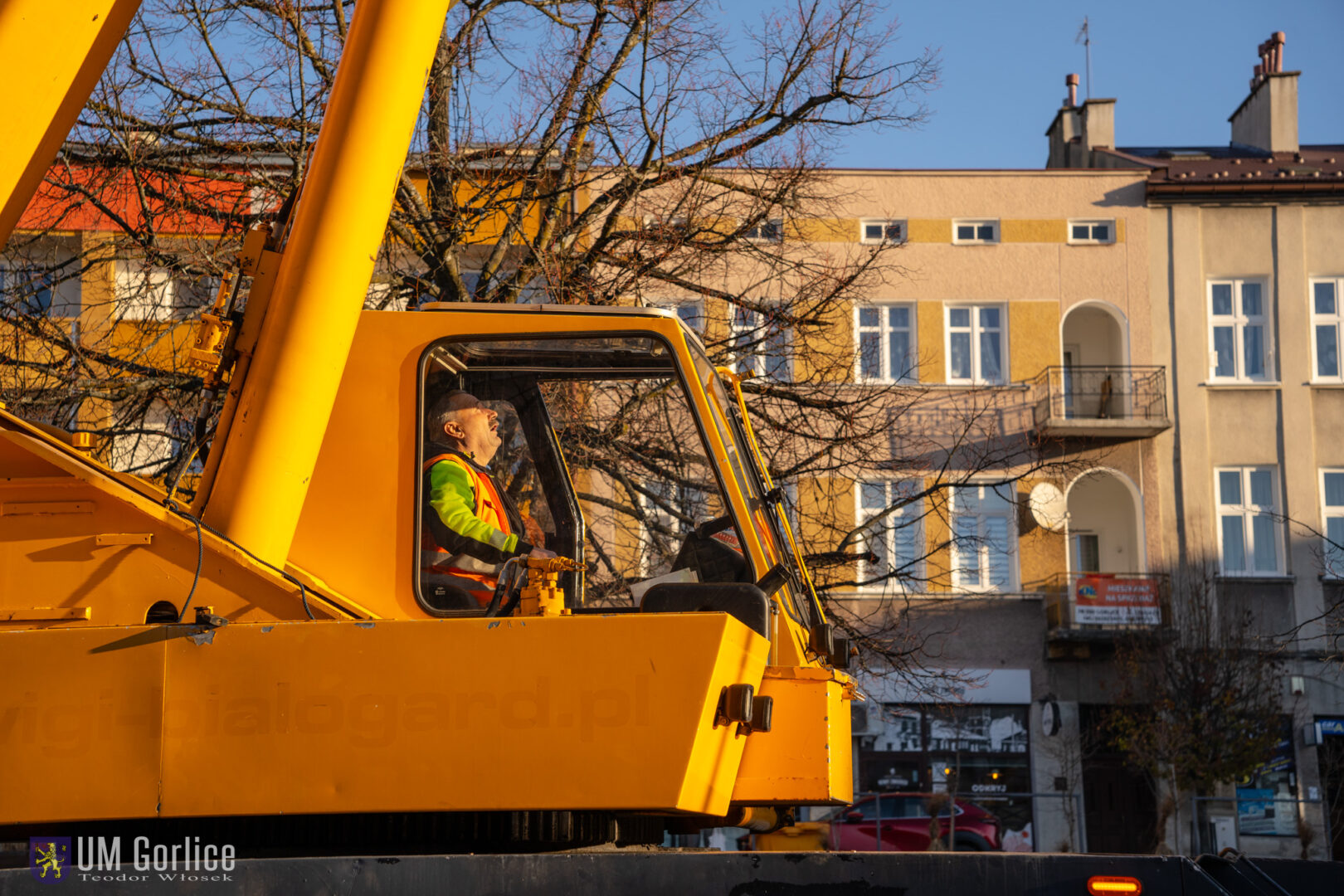 Gorlice choinka