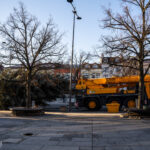 Gorlice choinka
