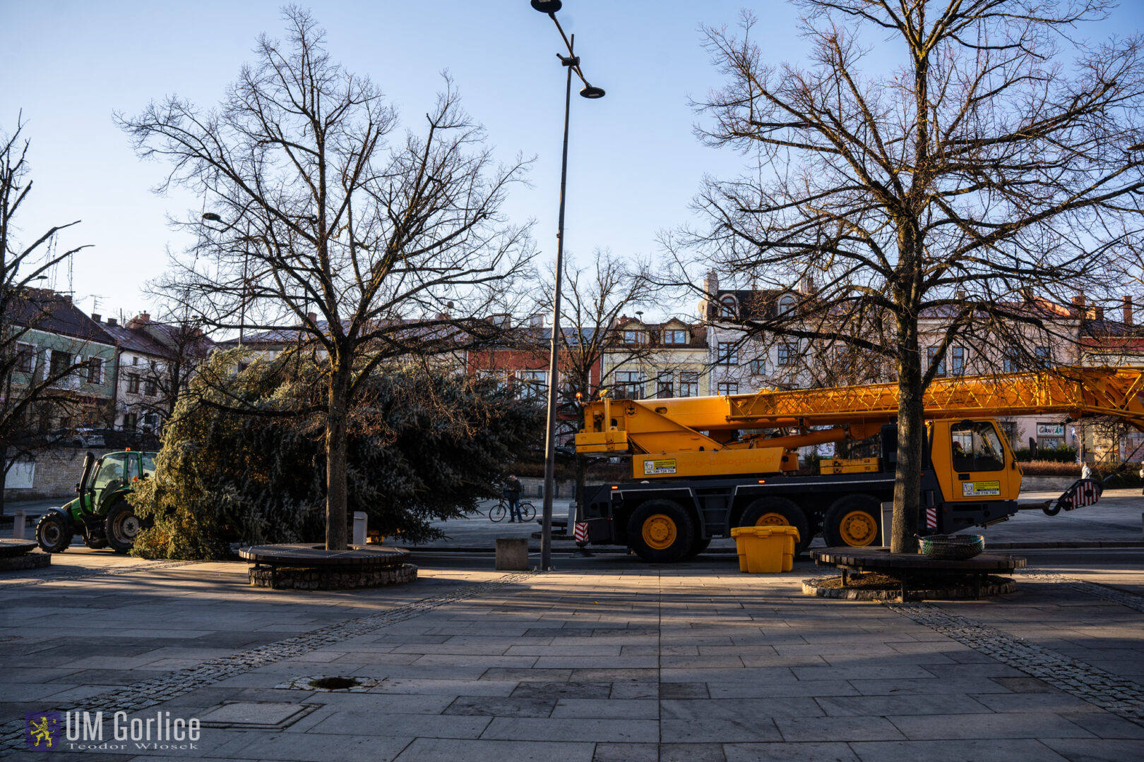 Gorlice choinka