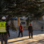 Gorlice choinka