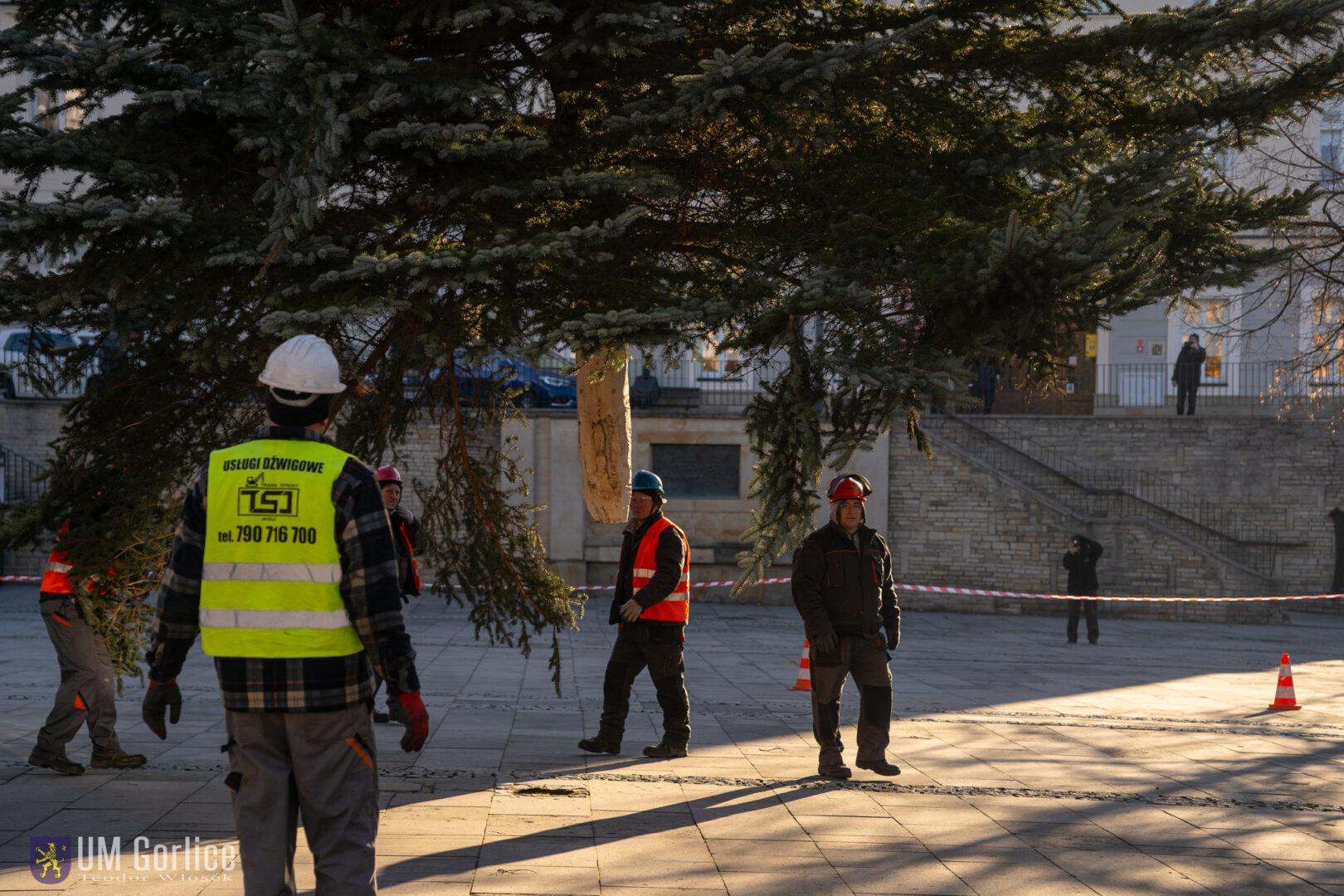 Gorlice choinka