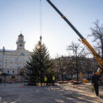 Gorlice choinka