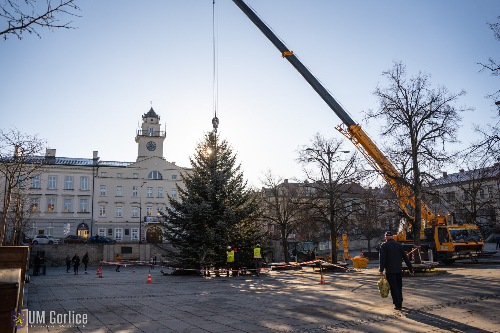 Gorlice choinka