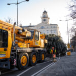 Gorlice choinka