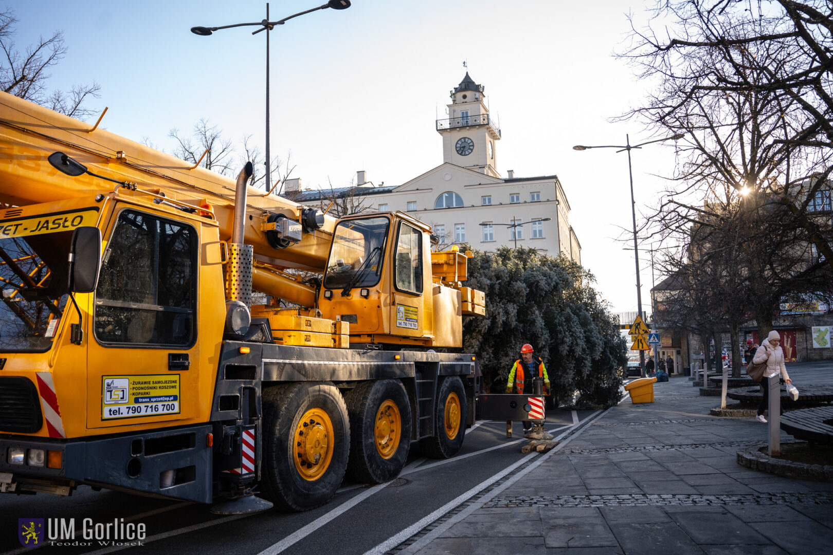 Gorlice choinka