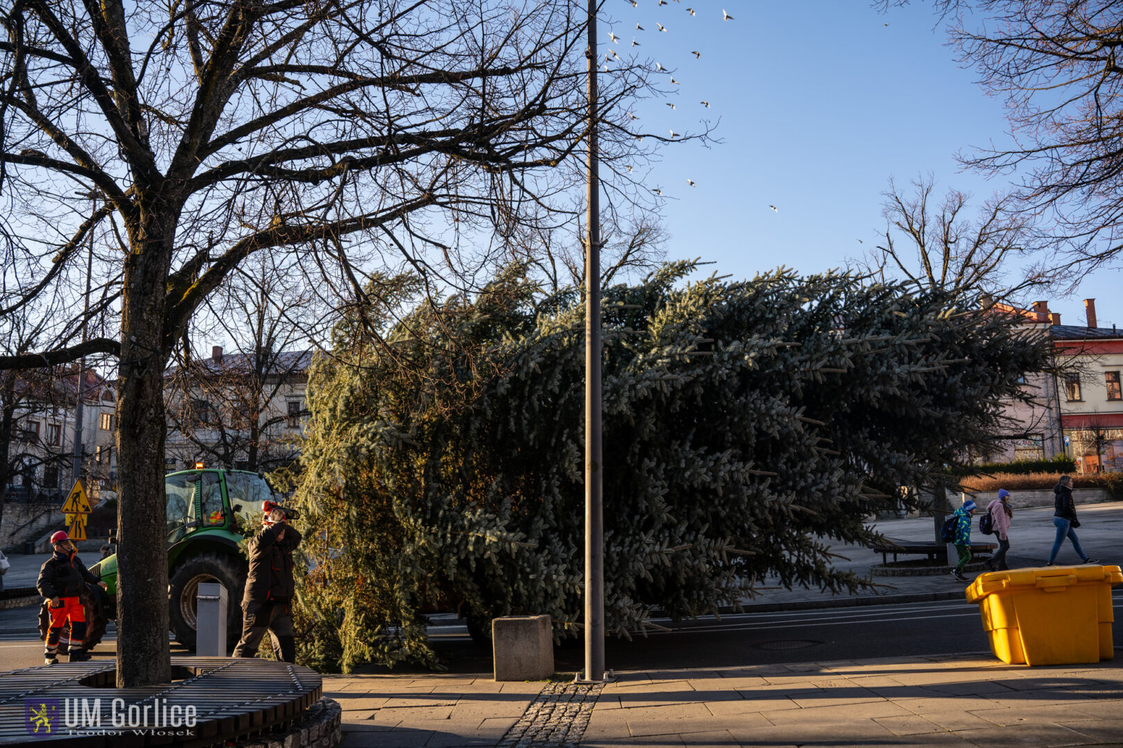 Gorlice choinka