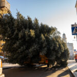 Gorlice choinka